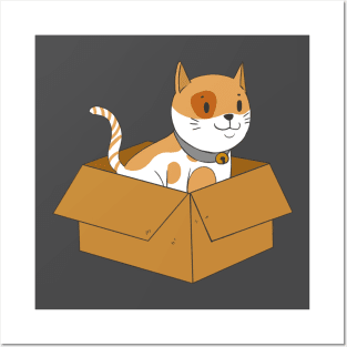 Cat in a box! Posters and Art